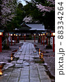 鷲宮神社　春の夜明け14 88334264