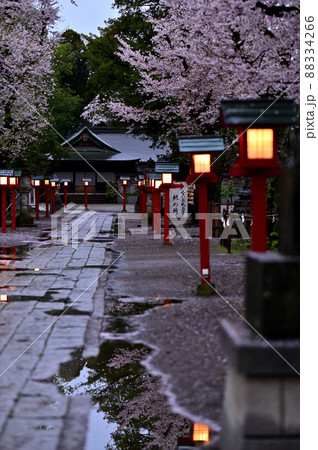 鷲宮神社 春の夜明け13 鷲宮神社 春の夜明け13 88334266