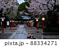 鷲宮神社　春の夜明け11 88334271