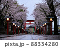 鷲宮神社　春の夜明け4 88334280