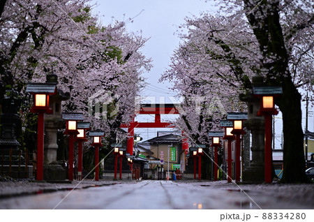 鷲宮神社　春の夜明け4 88334280