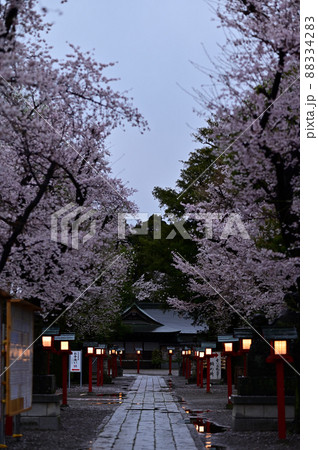 鷲宮神社 春の夜明け2 鷲宮神社 春の夜明け2 88334283