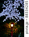 鷲宮神社　桜の季節 88334285