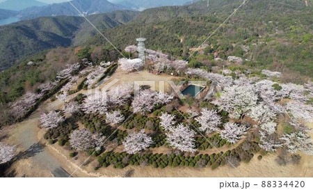東広島市安芸津町風早の保野山山頂の桜の空撮 東広島市安芸津町風早の保野山山頂の桜の空撮 88334420