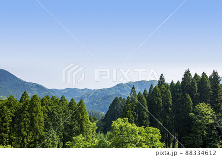 杉山と空 杉山と空 88334612