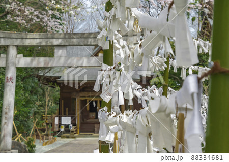 おみくじ掛け おみくじ掛け 88334681