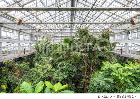 Donggungwon botanic garden 88334917