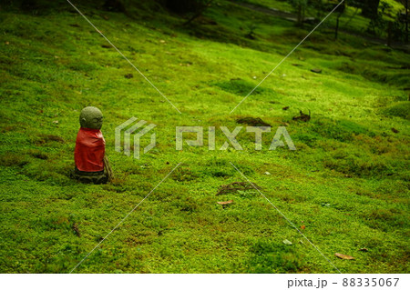 京都・寂光院の苔庭 88335067