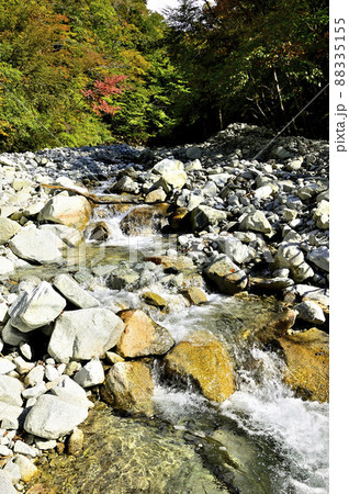 丹沢山地の渓流　檜洞丸のゴーラ沢出合 88335155
