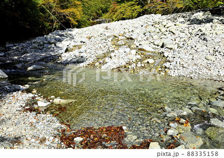 丹沢山地の渓流　檜洞丸　秋のゴーラ沢出合 88335158
