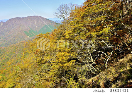 丹沢の石棚山稜 紅葉のテシロノ頭より大室山を望む 丹沢の石棚山稜 紅葉のテシロノ頭より大室山を望む 88335431