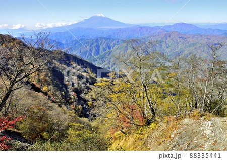 紅葉の丹沢山地 檜洞丸より初冬の富士山を望む 紅葉の丹沢山地 檜洞丸より初冬の富士山を望む 88335441