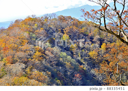 丹沢山地の檜洞丸より紅葉のテシロノ頭を望む 丹沢山地の檜洞丸より紅葉のテシロノ頭を望む 88335451