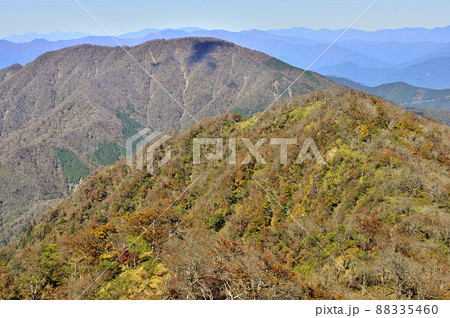 紅葉の丹沢山地 檜洞丸より大室山を望む 紅葉の丹沢山地 檜洞丸より大室山を望む 88335460