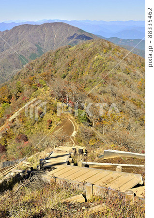 紅葉の丹沢山地　檜洞丸より丹沢主稜の大室山を望む 88335462