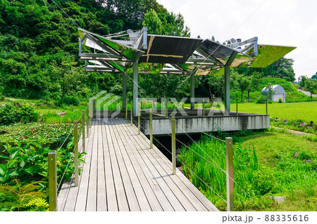 神明水辺公園（新潟県十日町市） 88335616