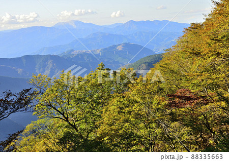 丹沢の石棚山稜 紅葉の山地に箱根山 丹沢の石棚山稜 紅葉の山地に箱根山 88335663