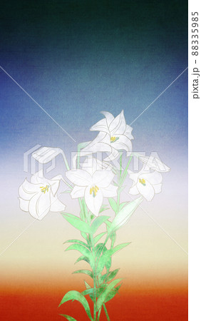 浮世絵調グラデーションに白百合（テッポウユリ）の和風背景イラスト藍と樺色 88335985