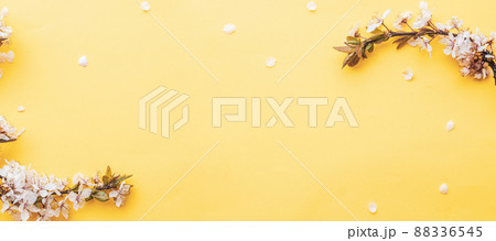 Spring background table. May flowers and April floral nature on pink. For banner, branches of blossoming cherry against background. Dreamy romantic image, landscape panorama, copy space. Spring background table. May flowers and April floral nature on pink. For banner, branches of blossoming cherry against background. Dreamy romantic image, landscape panorama, copy space. 88336545