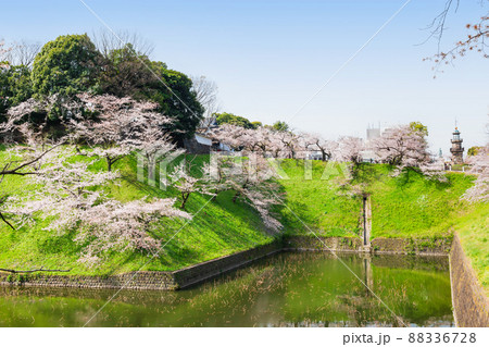春の皇居外苑　田安門 88336728