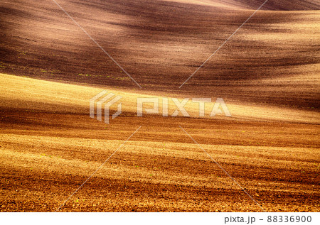 Earthy abstract background 88336900
