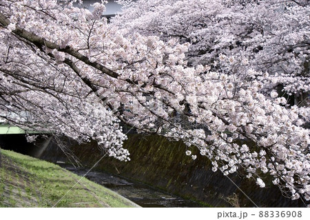 乞田川 乞田川 88336908