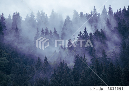 Misty mountain landscape Misty mountain landscape 88336914