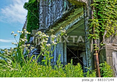 廃墟と植物の写真素材 [88337144] - PIXTA
