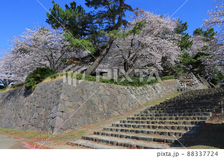 春の日出城址 春の日出城址 88337724
