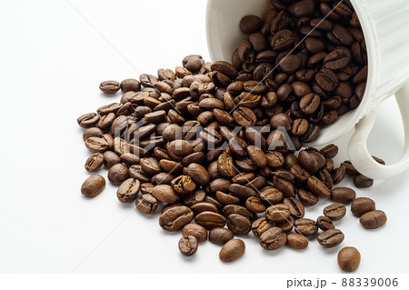 コーヒー豆 88339006