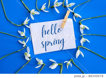 Greeting card text HELLO SPRING lettering with snowdrop flowers. Early spring flowers. Springtime. Fresh bouquet Greeting card text HELLO SPRING lettering with snowdrop flowers. Early spring flowers. Springtime. Fresh bouquet 88340078