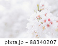 コピースペースのある淡い桜 88340207