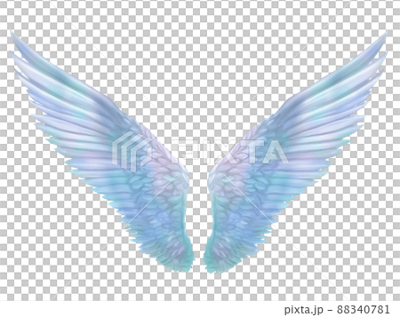 Beautiful blue wings material illustration Beautiful blue wings material illustration 88340781