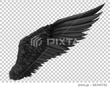 黑色單翼材料插圖 88340782