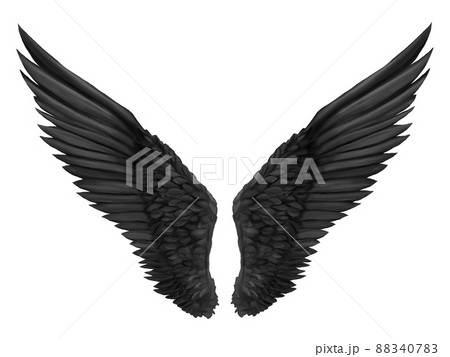 黒の翼 素材イラストのイラスト素材 8407