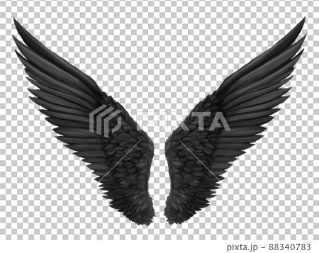 黒い羽のデザイン 黒の翼 素材イラストのイラスト素材 [88340783] - PIXTA
