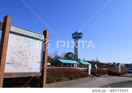 展望タワーの立つ埼玉県行田市の古代蓮の里の風景 展望タワーの立つ埼玉県行田市の古代蓮の里の風景 88341005