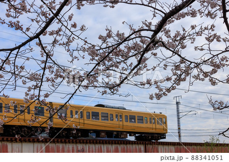 満開の桜と列車 88341051