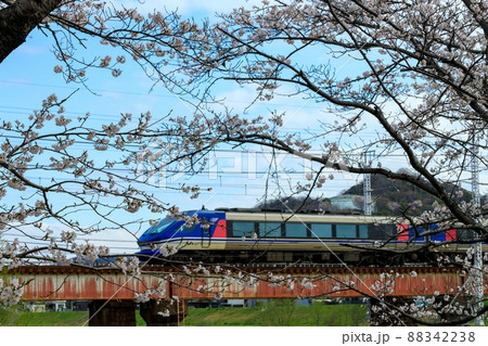満開の桜とスーパーはくと 満開の桜とスーパーはくと 88342238