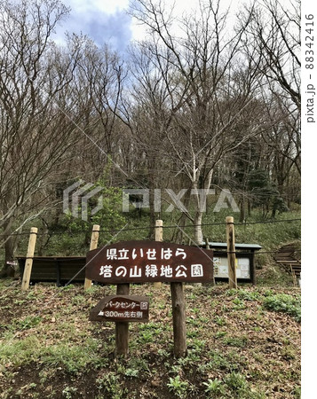 県立いせはら塔の山緑地公園 県立いせはら塔の山緑地公園 88342416