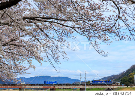 満開の桜と貨物列車 満開の桜と貨物列車 88342714