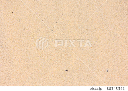 ざらざらした質感のある砂の背景素材 ざらざらした質感のある砂の背景素材 88343541