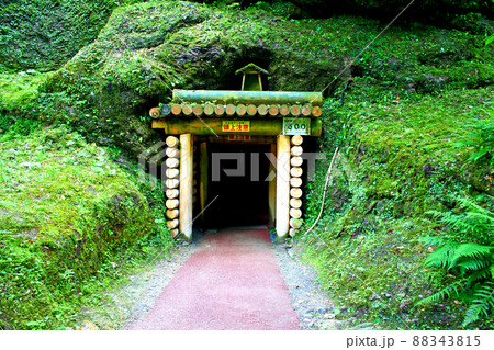 【島根】初夏の石見銀山　龍源寺間歩の入口（正面） 88343815