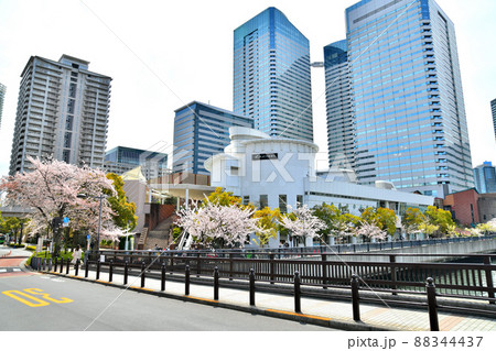 晴月橋／朝潮運河より晴海トリトンスクエア周辺を望む(東京都中央区)【2022.4】 88344437