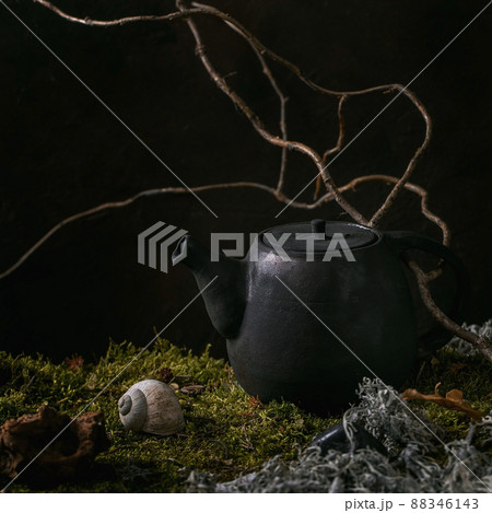 Craft handmade ceramic teapot on moss as background 88346143