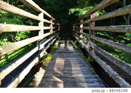 奥鬼怒トレッキング、鬼怒沼山へ 奥鬼怒トレッキング、鬼怒沼山へ 88346190