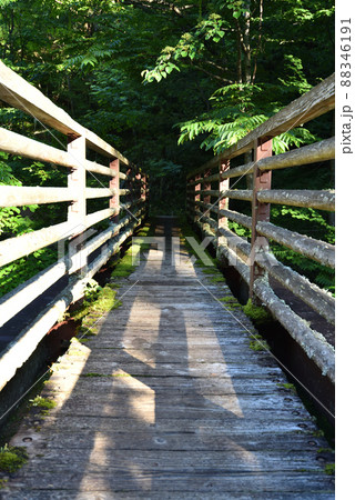 奥鬼怒トレッキング、鬼怒沼山へ 奥鬼怒トレッキング、鬼怒沼山へ 88346191