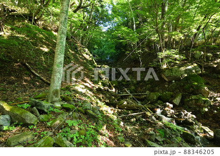 奥鬼怒トレッキング、鬼怒沼山へ 奥鬼怒トレッキング、鬼怒沼山へ 88346205