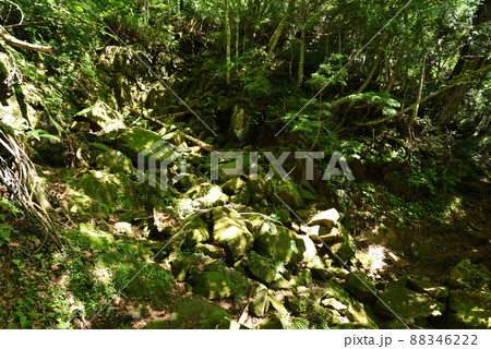 奥鬼怒トレッキング、鬼怒沼山へ 奥鬼怒トレッキング、鬼怒沼山へ 88346222