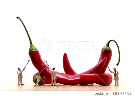 Miniature painters coloring red chilli peppers. Macro photo Miniature painters coloring red chilli peppers. Macro photo 88347419